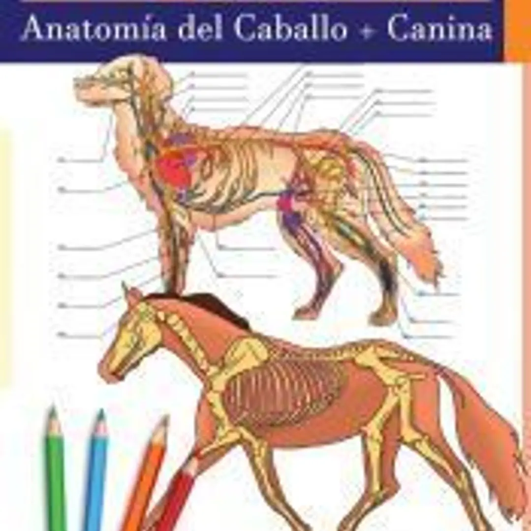 Libro para colorear de Anatomía del Caballo + Canina 1