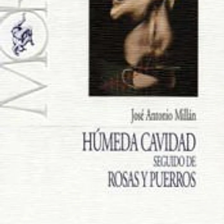HUMEDA CAVIDAD SEGUIDO DE ROSAS Y PUERROS 1