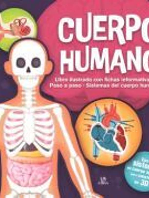 Cuerpo Humano