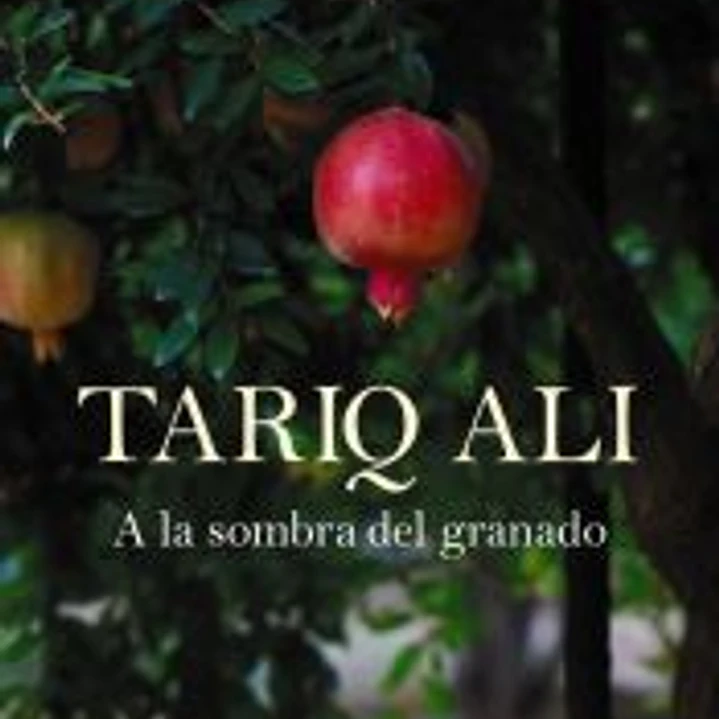 A la sombra del granado 1