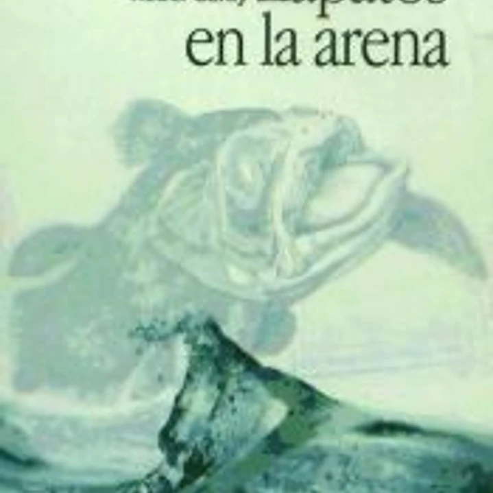 ZAPATOS EN LA ARENA 1