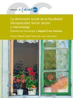 La dimensión social de la fiscalidad: discapacidad, tercer sector y mecenazgo