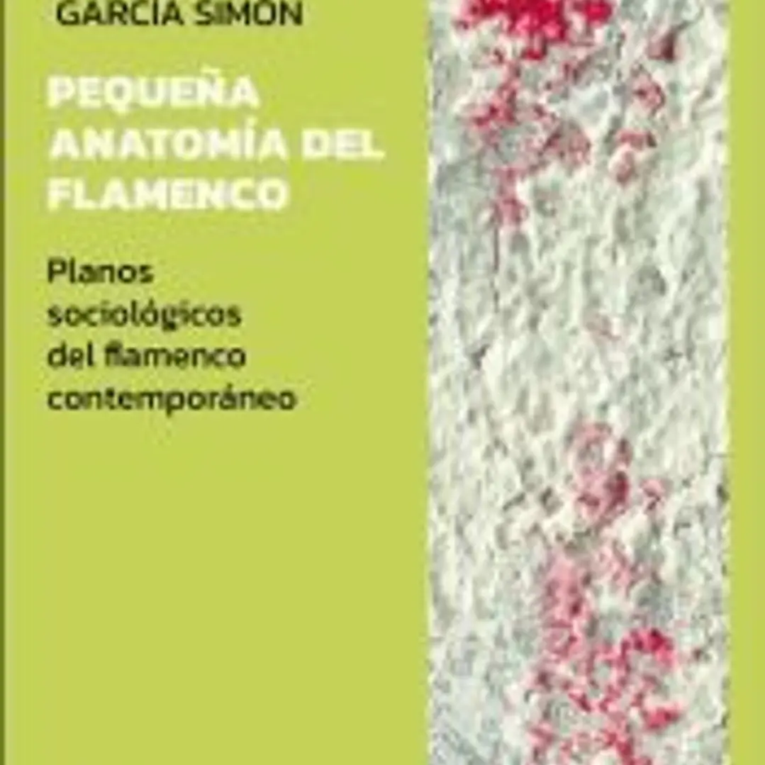 PEQUEÑA ANATOMÍA DEL FLAMENCO 1