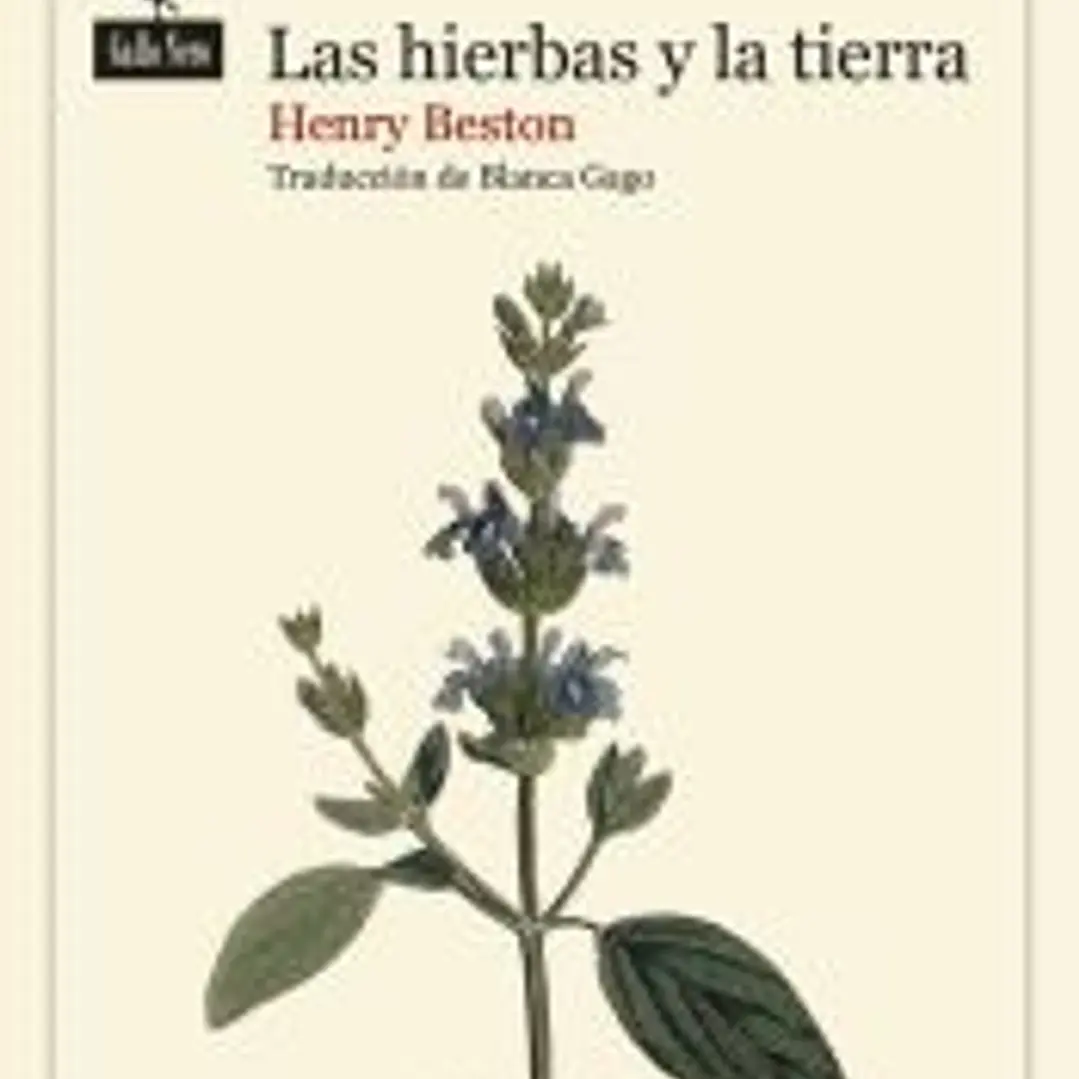 Las hierbas y la tierra 1