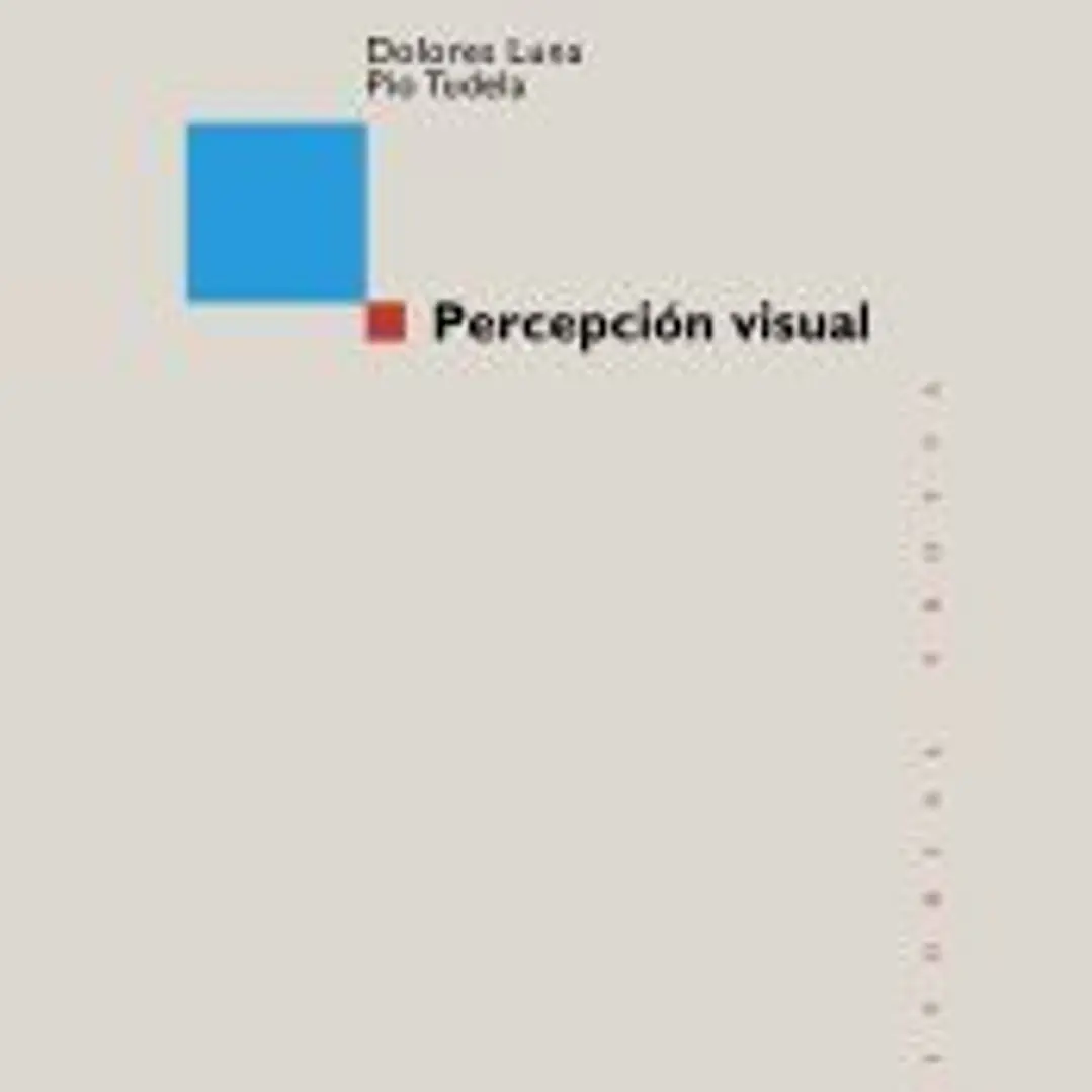 Percepción visual 1