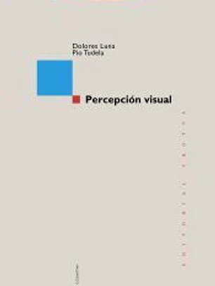 Percepción visual