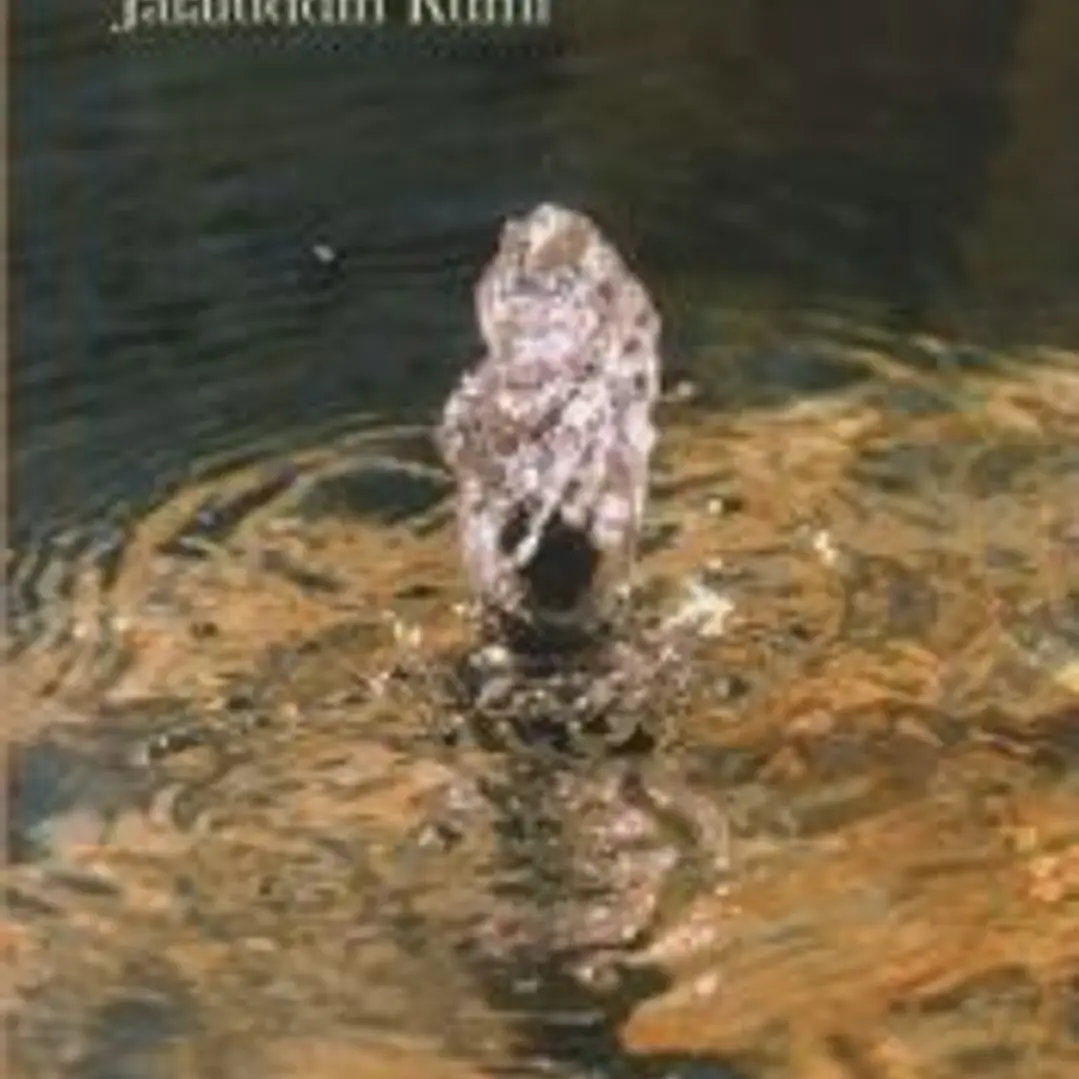 El agua de la vida 1