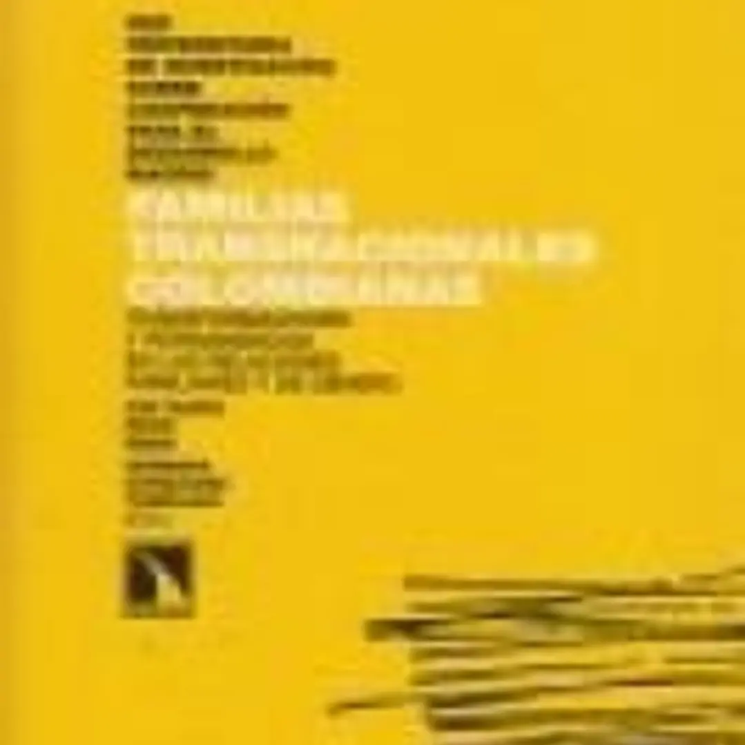 Familias transnacionales colombianas : transformaciones y permanencias en las relaciones familiares y de género 1