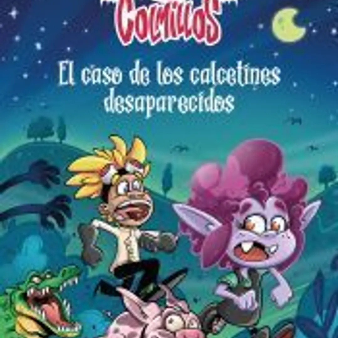 El caso de los calcetines desaparecidos 1
