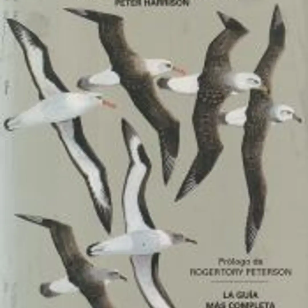 AVES MARINAS. UNA GUíA DE IDENTIFICACIÓN 1