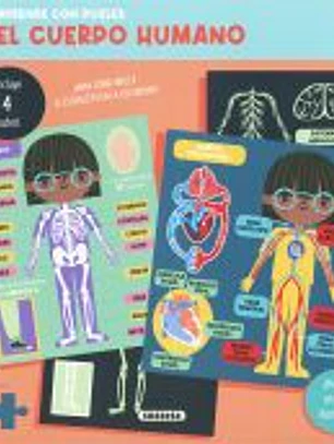 El cuerpo humano