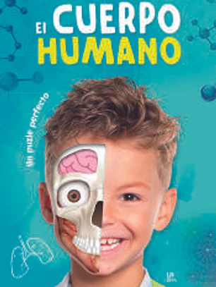 El Cuerpo Humano: Un Puzle Perfecto