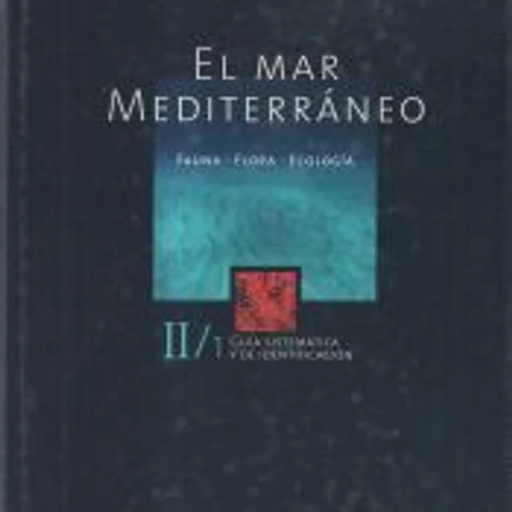 EL MAR MEDITERRANEO - II/1 1