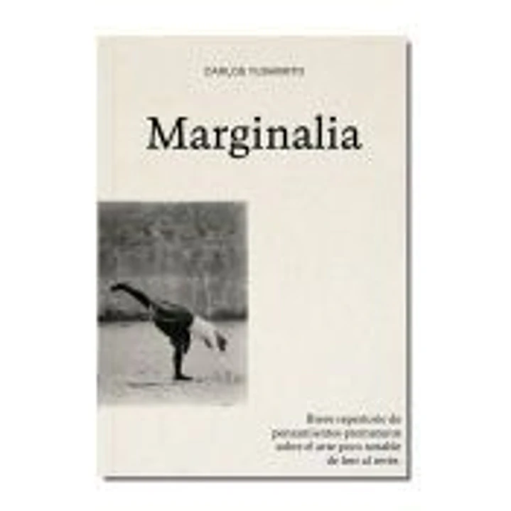 Marginalia: Breve repertorio de pensamientos prematuros sobre el arte poco notable de leer al revés 1