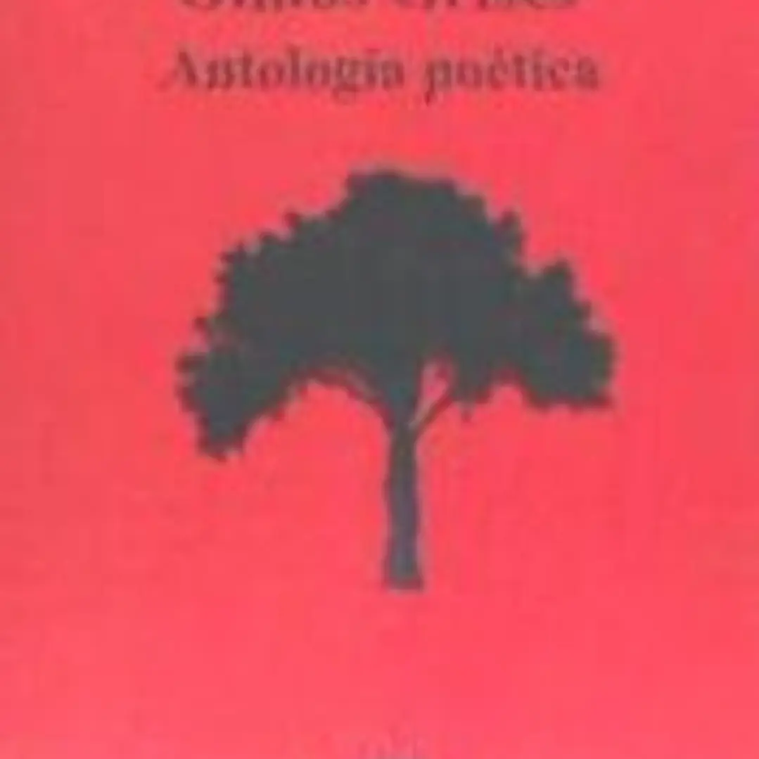 Olmos grises 1