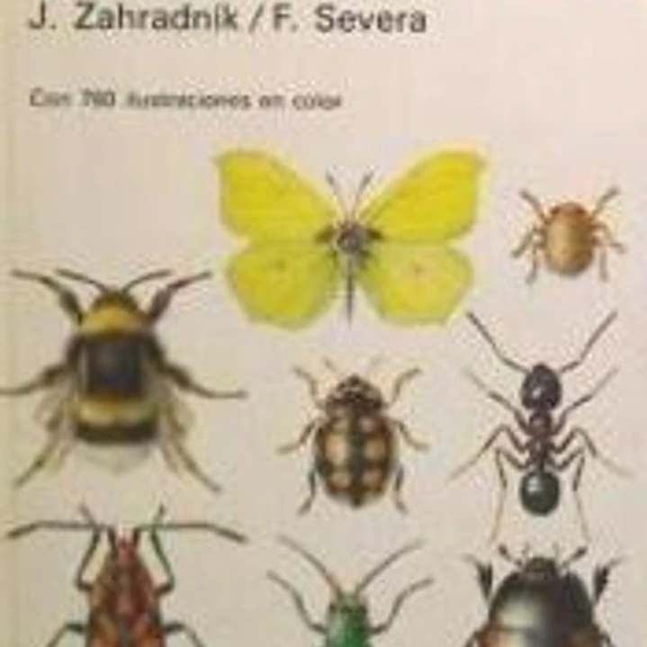 GUÍA BÁSICA DE LOS INSECTOS DE EUROPA 1