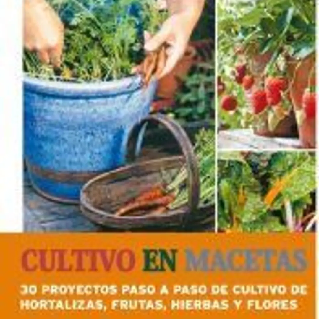 Cultivo en macetas 1