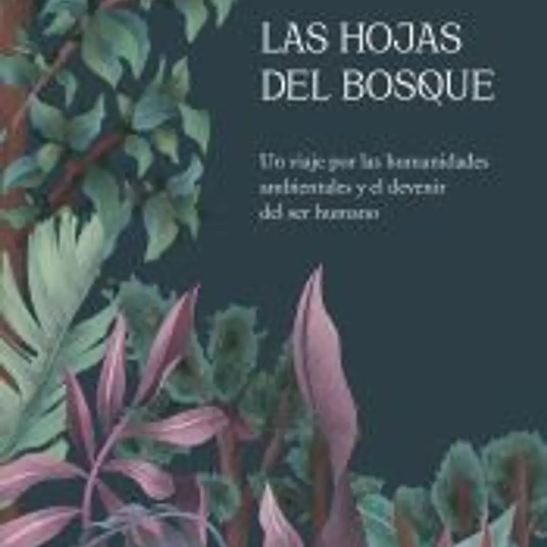 Las hojas del bosque 1