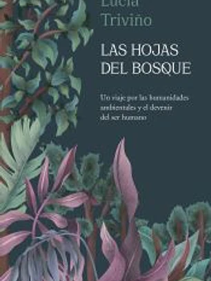 Las hojas del bosque