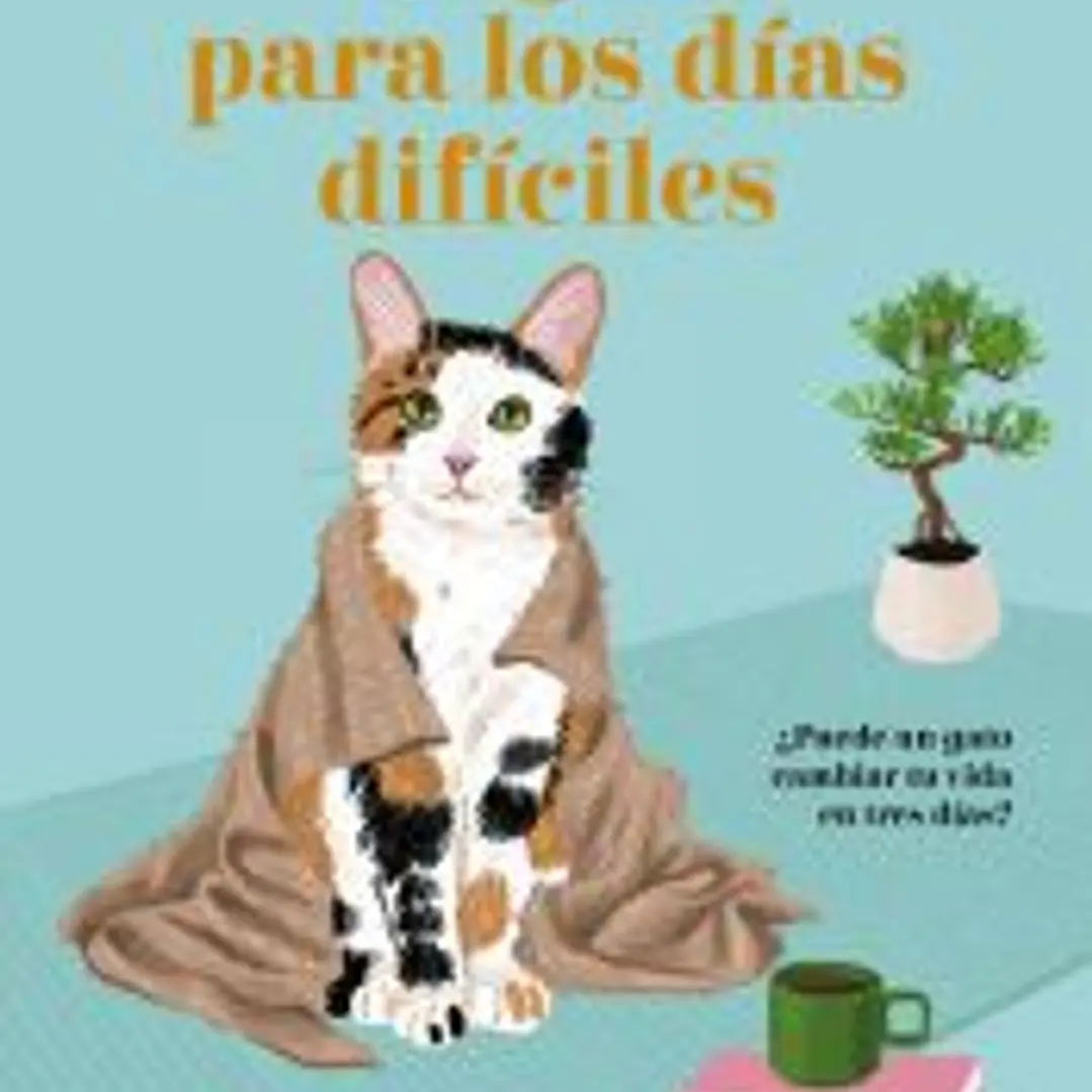 Un gato para los días difíciles 1