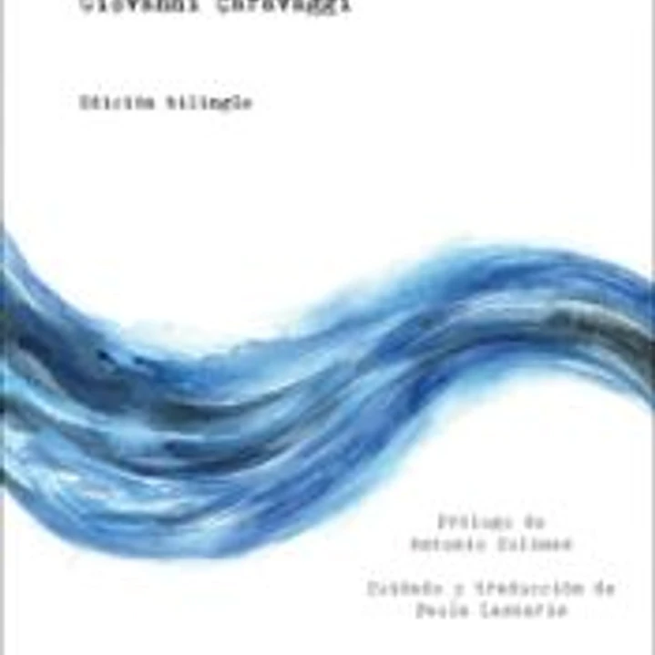 Desde las riberas/Dagli argini (edición bilingüe italiano-español) 1