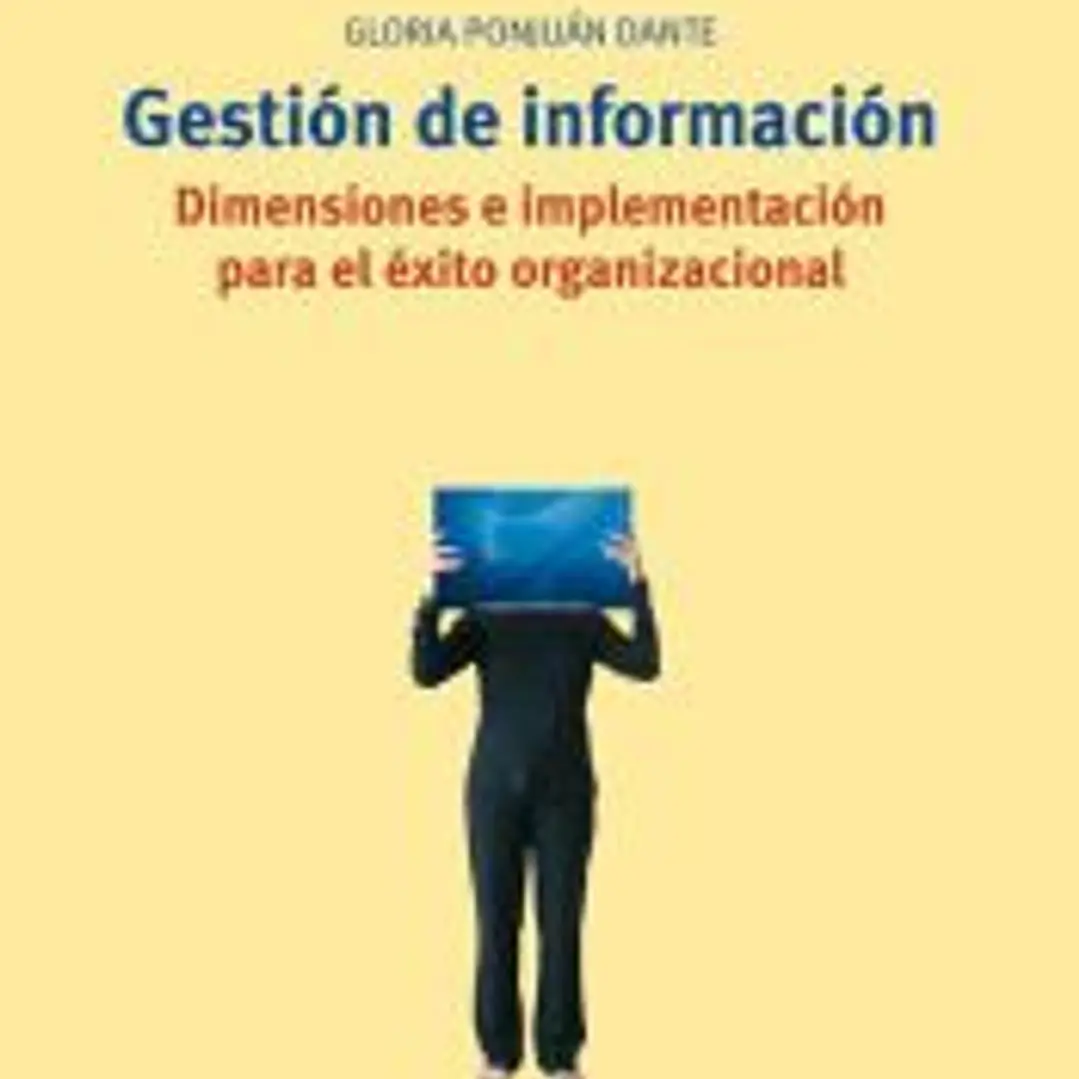 Gestión de información. Dimensiones e implementación para el éxito organizacional 1