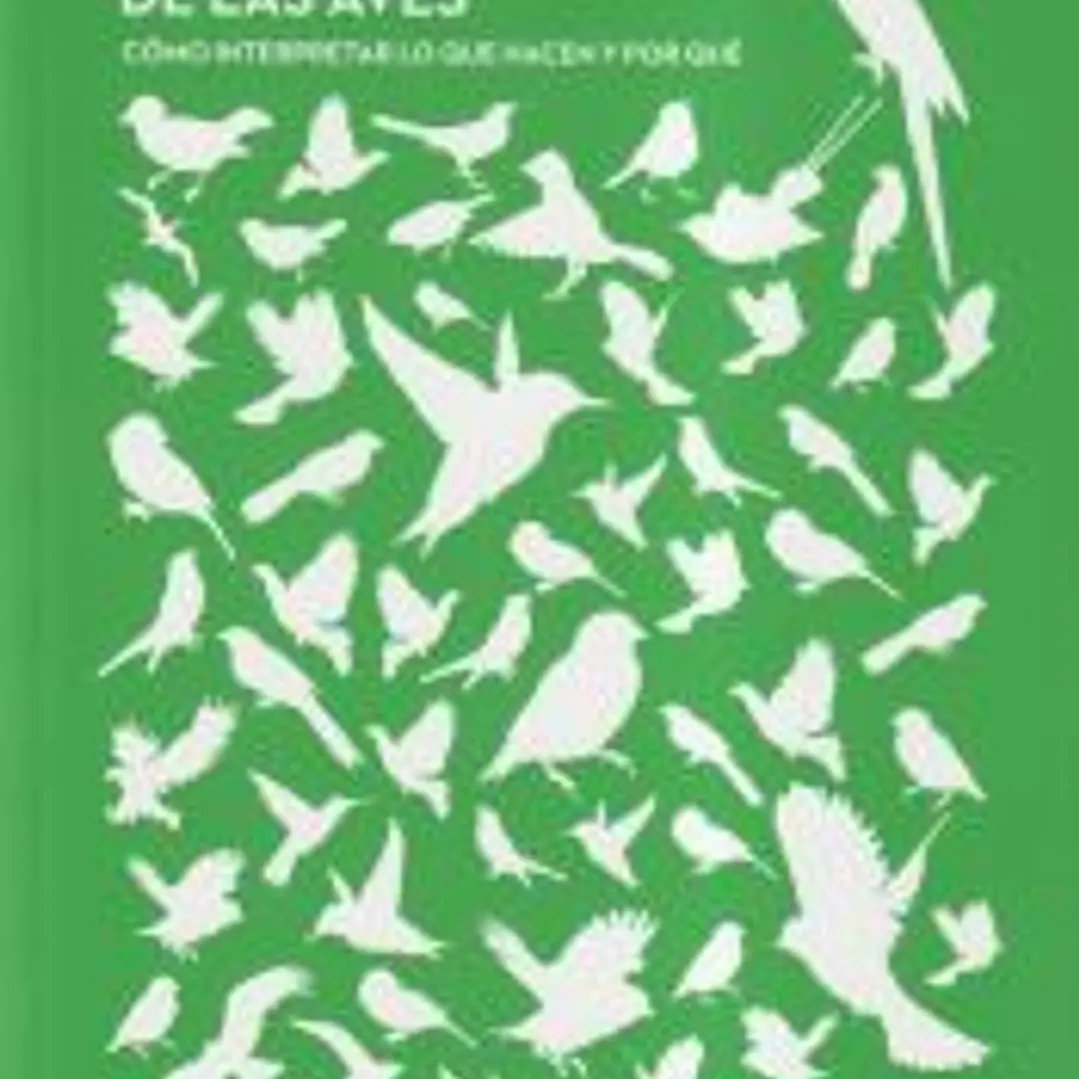 El comportamiento de las aves 1