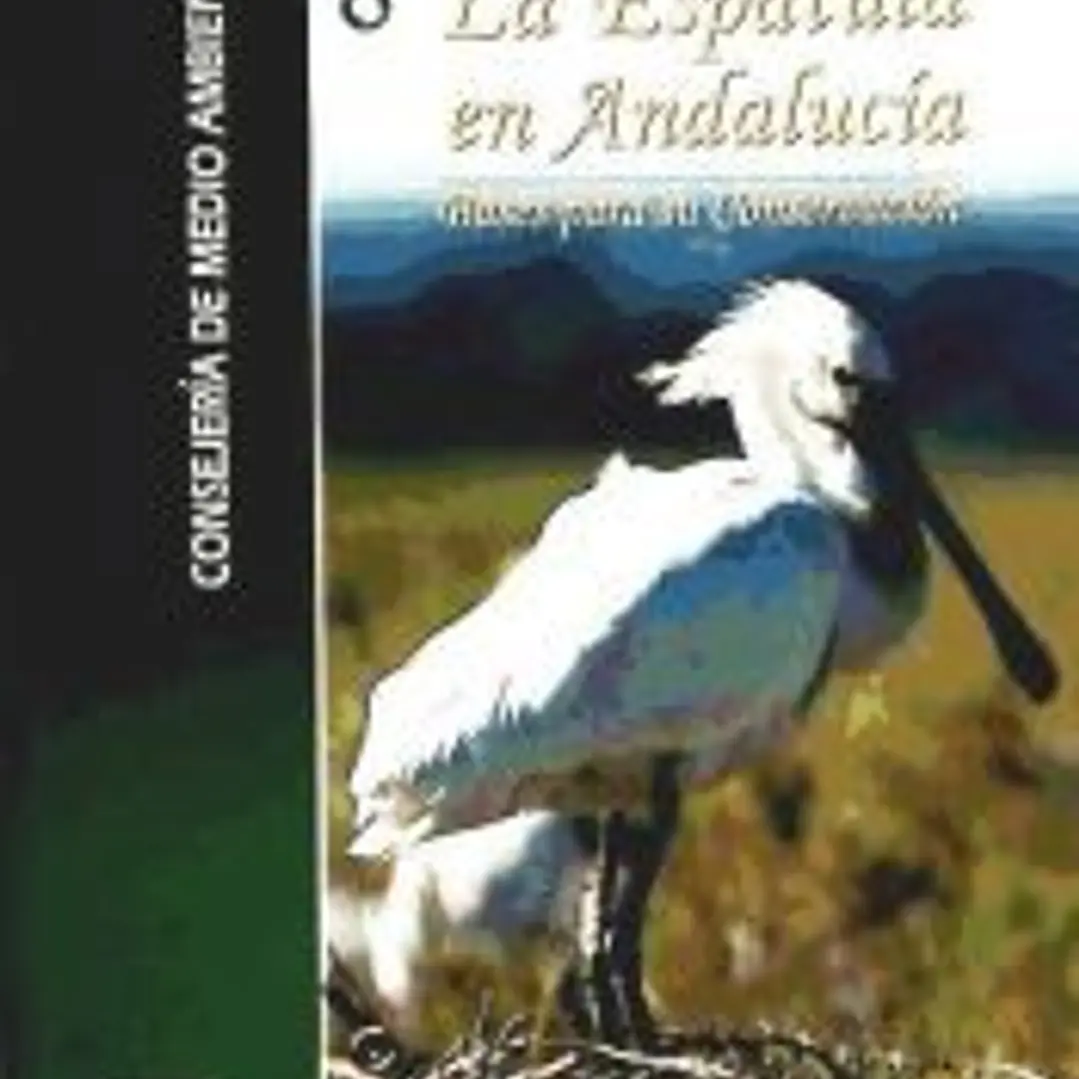 La espátula en Andalucía: bases para su conservación 1