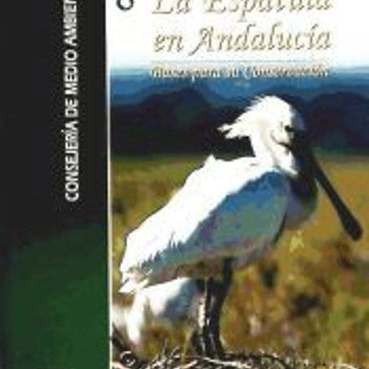 La espátula en Andalucía: bases para su conservación 1