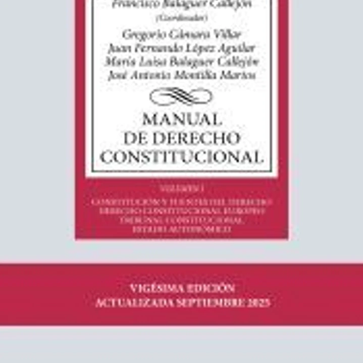 Manual de Derecho Constitucional 1