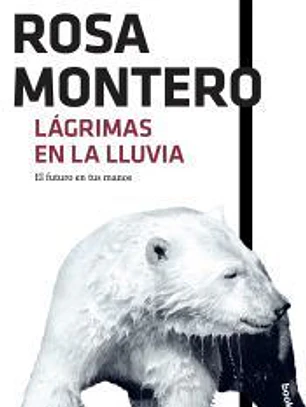 Lágrimas en la lluvia