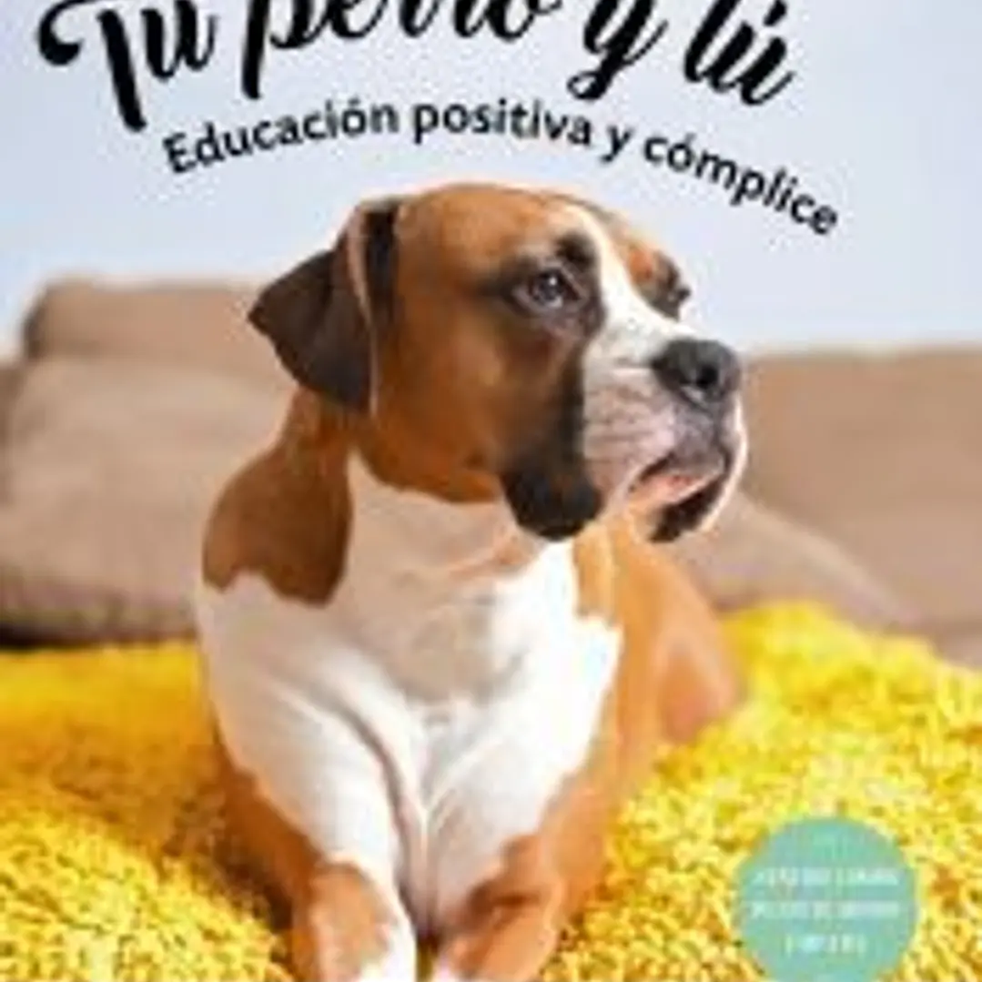 Tu perro y tú 1