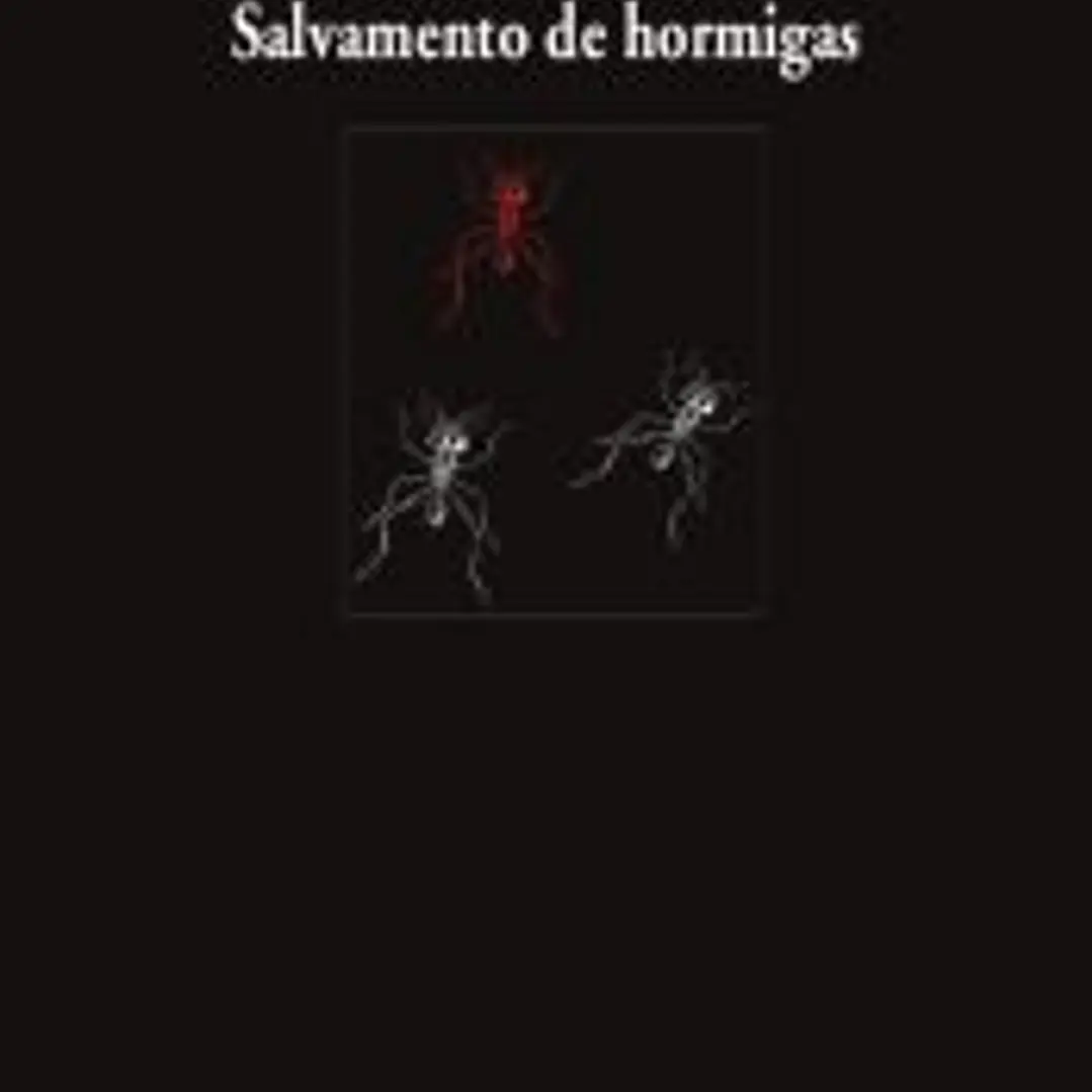 Salvamento de hormigas 1