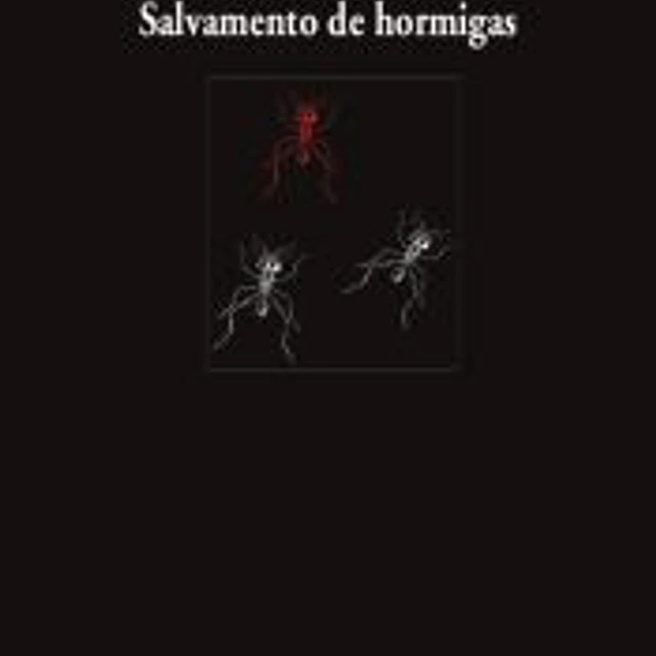 Salvamento de hormigas 1