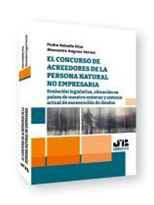 El concurso de acreedores de la persona natural no empresaria.