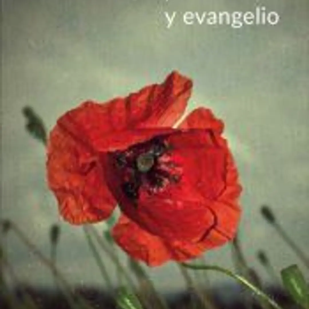 Emociones, espiritualidad y evangelio 1