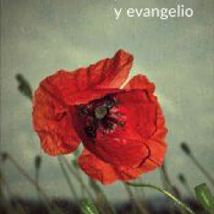 Emociones, espiritualidad y evangelio 1
