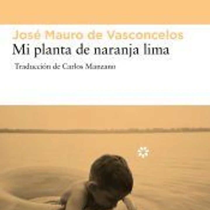 Mi planta de naranja lima 1