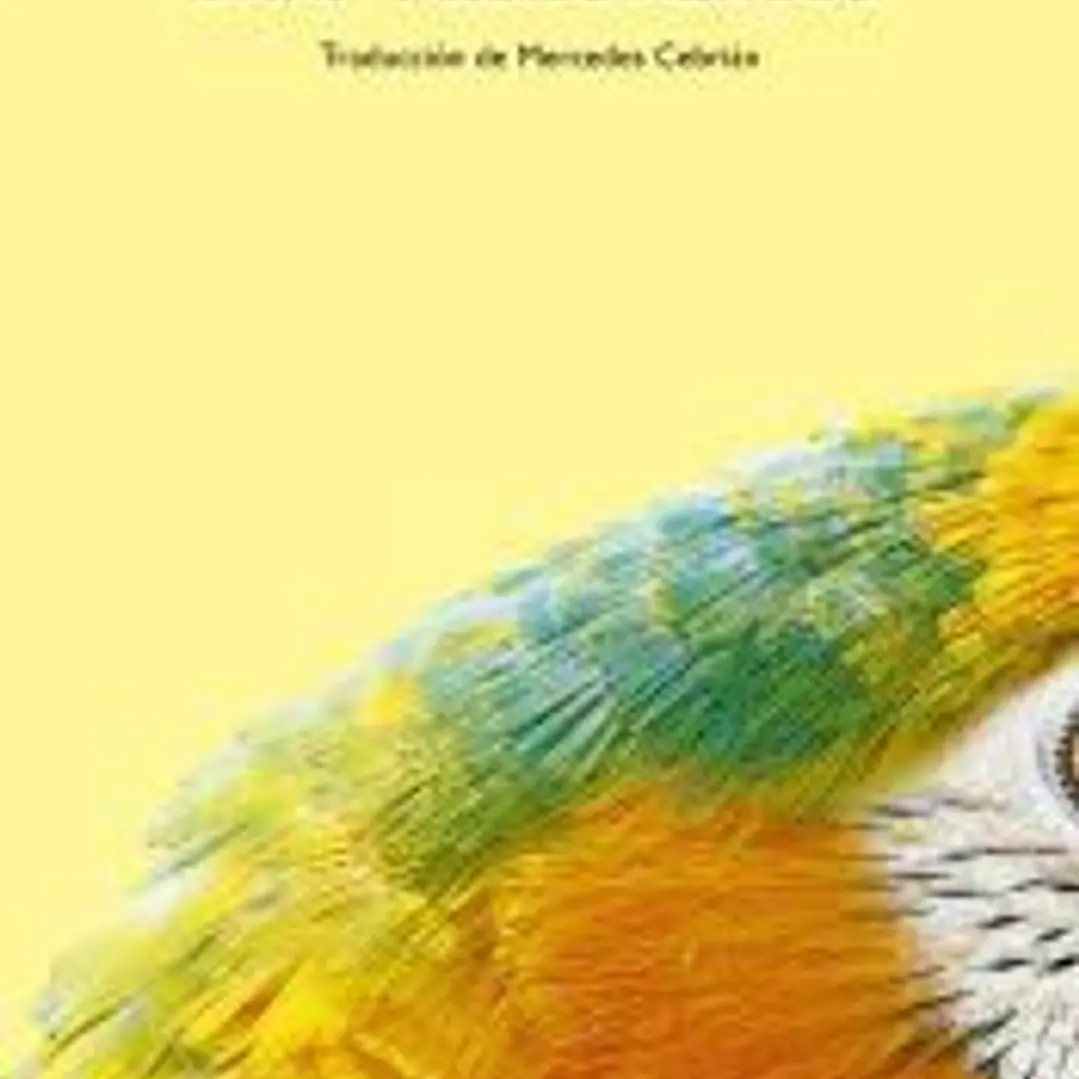 Los vulnerables 1