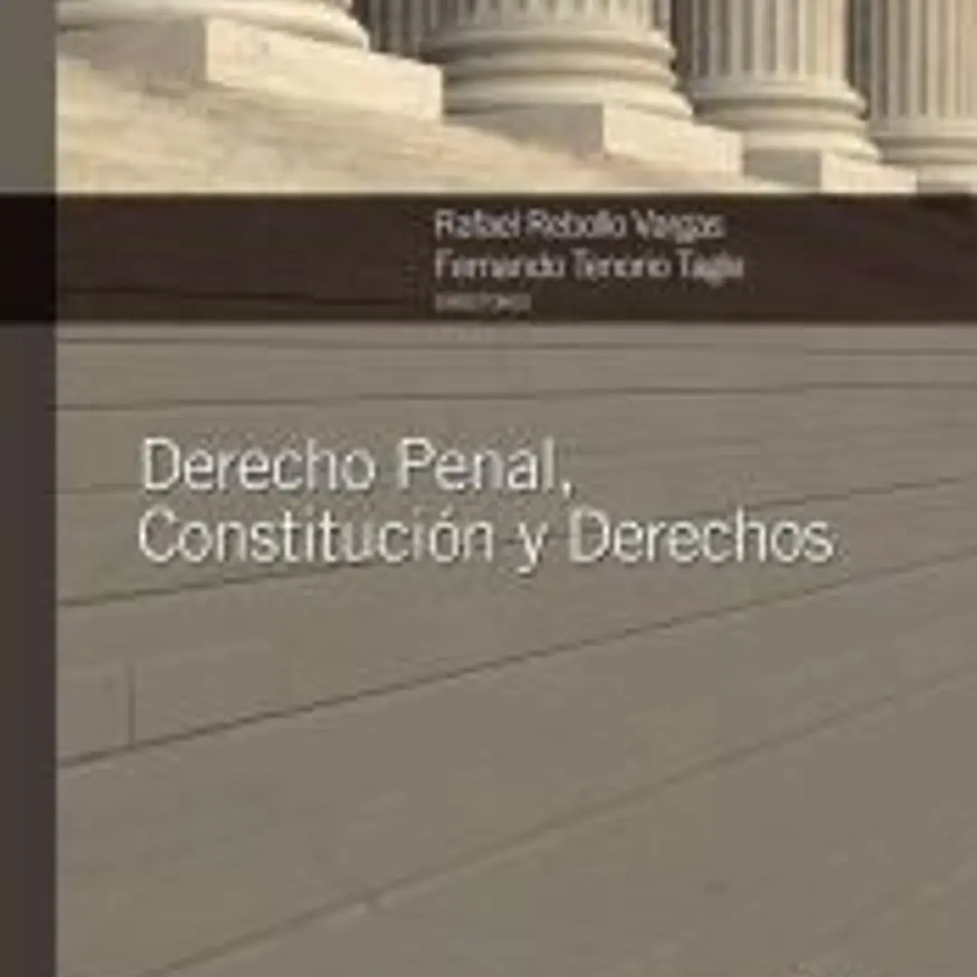 Derecho Penal, Constitución y Derechos 1