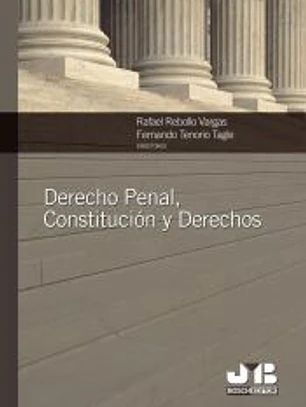 Derecho Penal, Constitución y Derechos