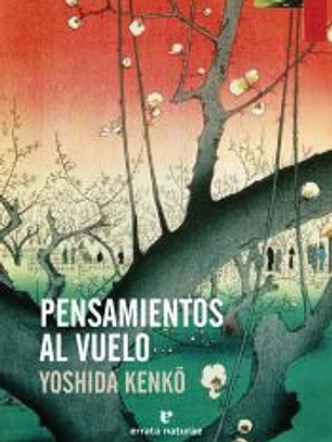 PENSAMIENTOS AL VUELO