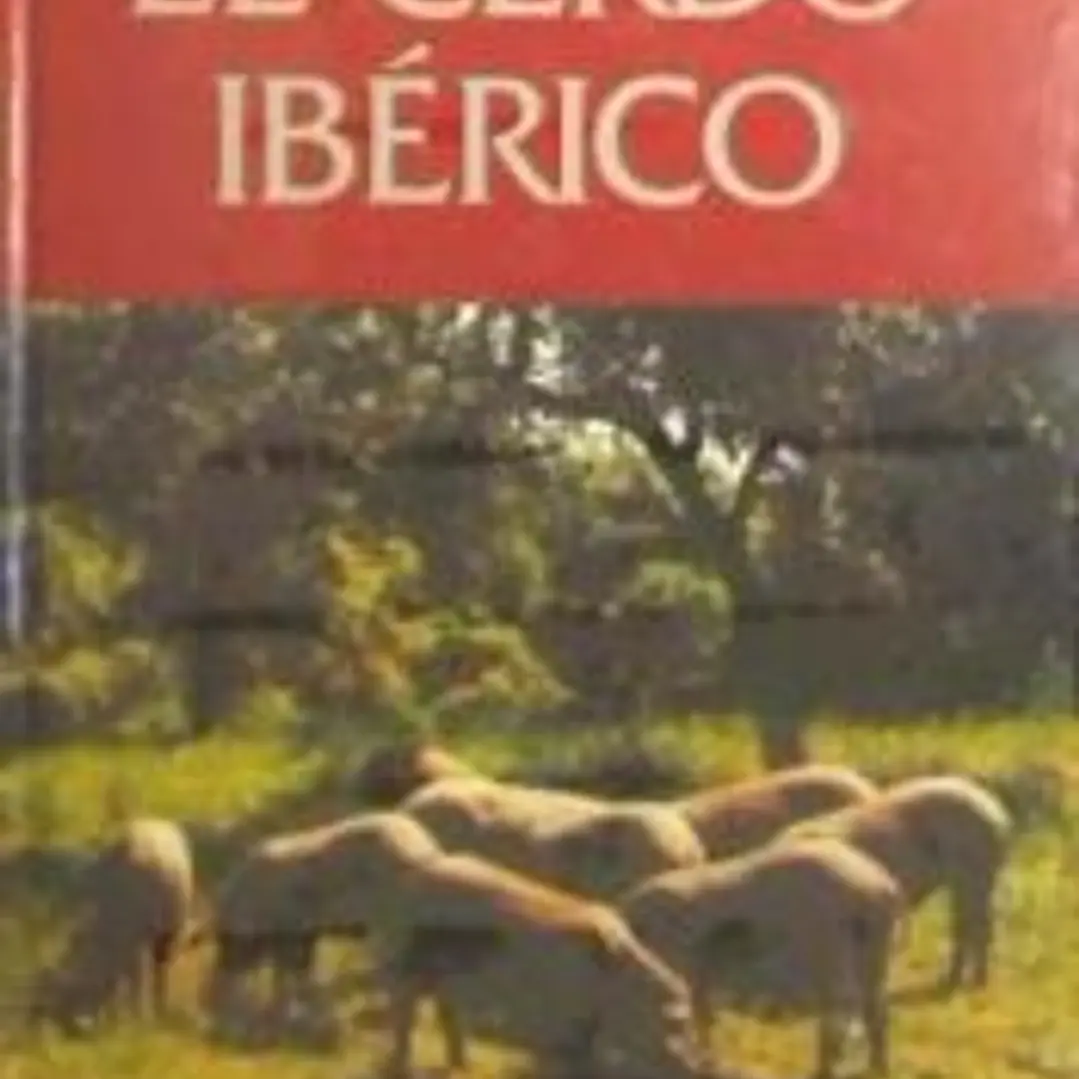 El cerdo ibérico 1