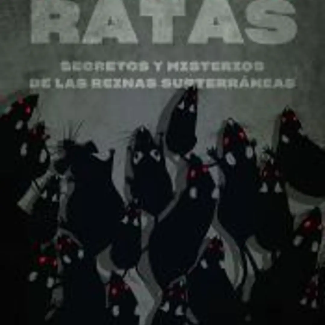 Ratas 1