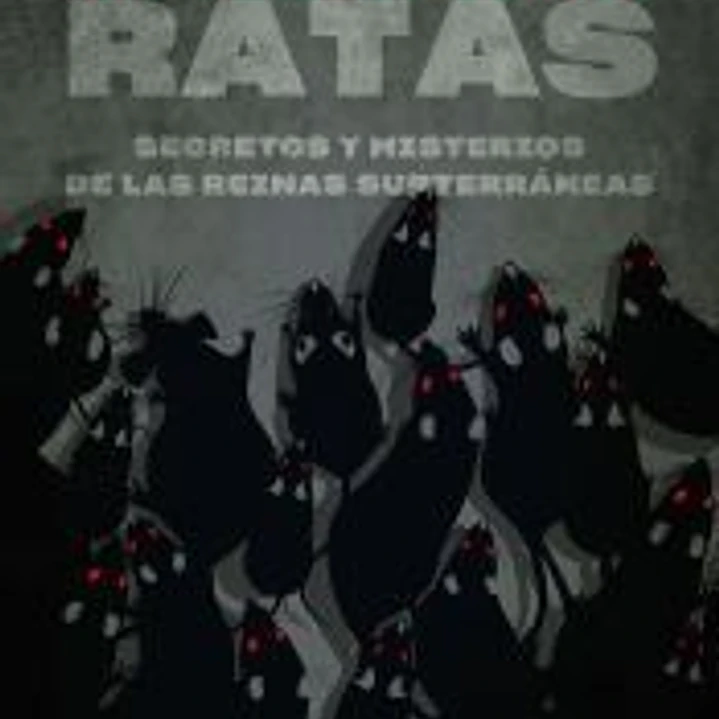 Ratas 1