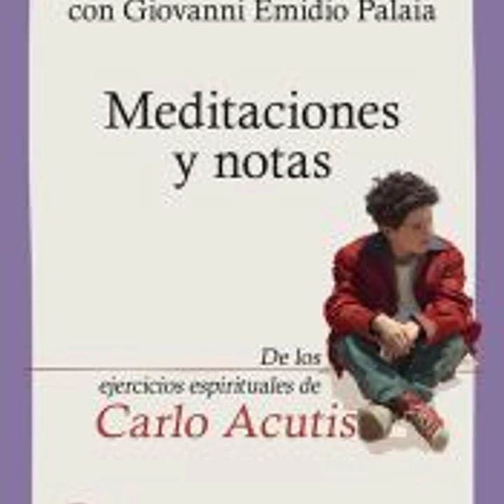 Meditaciones y notas 1