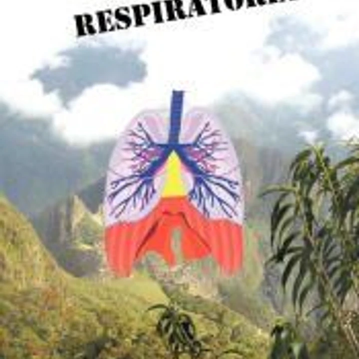 Conceptos y Estrategias en Terapia Respiratoria 1