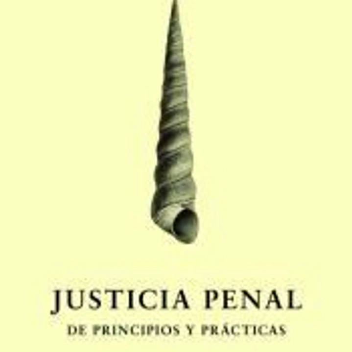 Justicia Penal. De principios y prácticas 1
