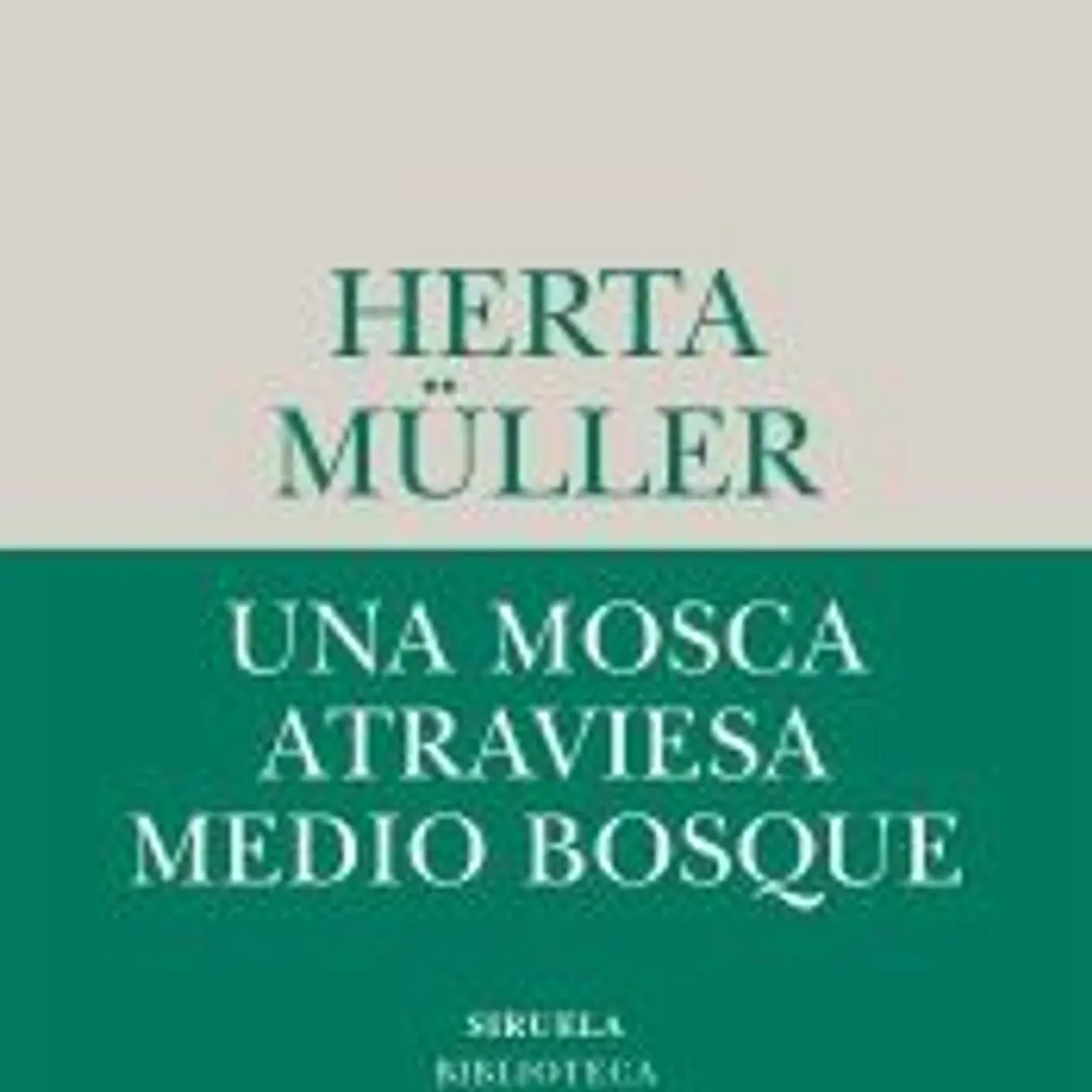 Una mosca atraviesa medio bosque 1