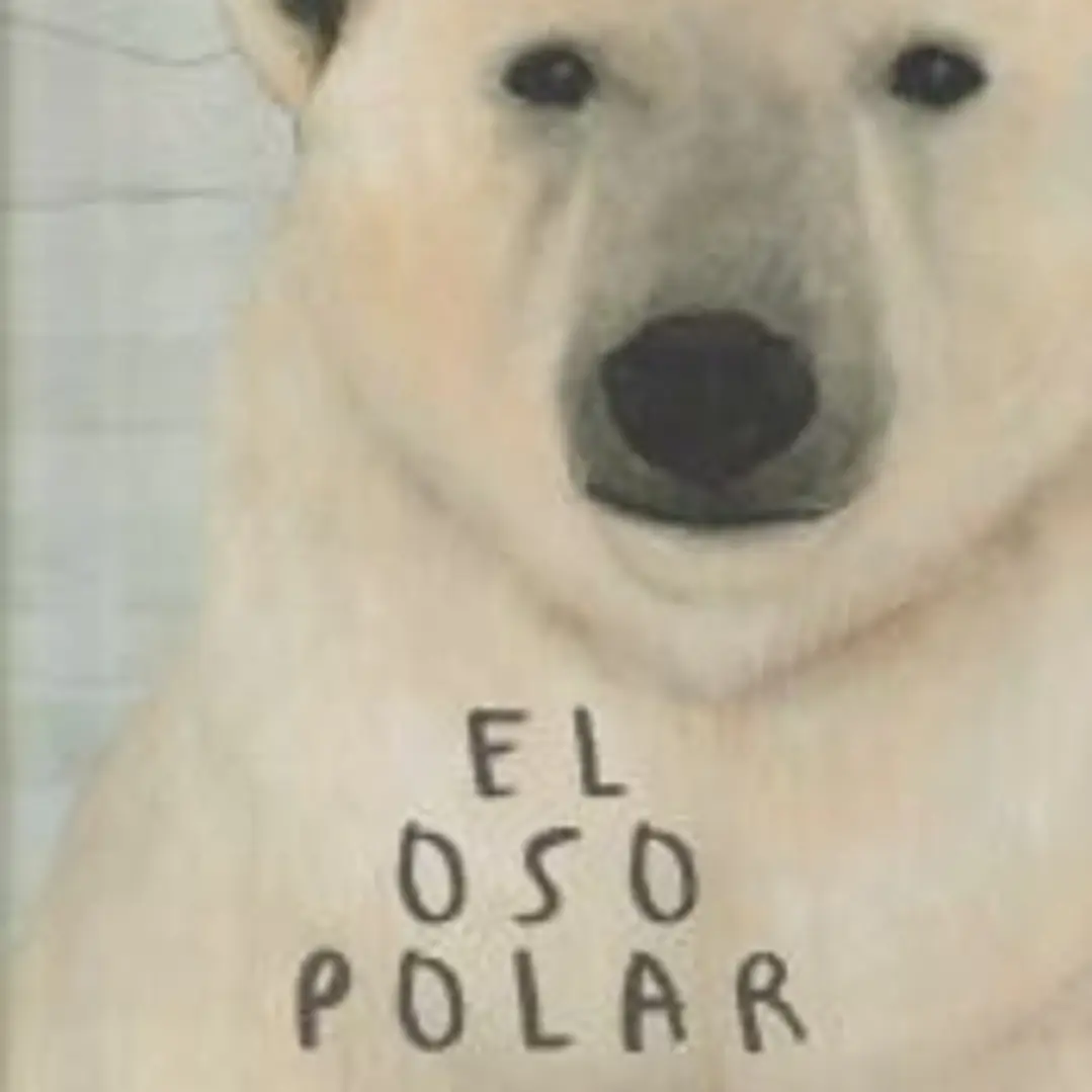 El oso polar 1
